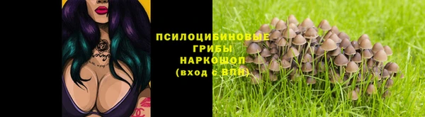 прущая мука Армянск