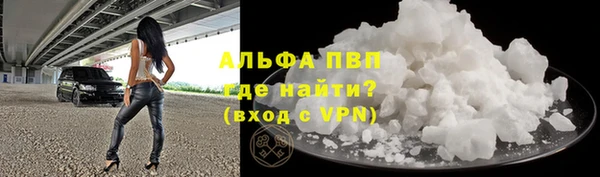 спайс Арсеньев