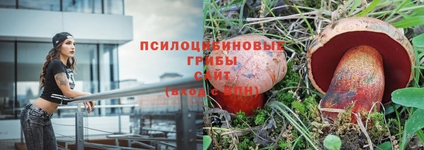 прущие крисы Балабаново