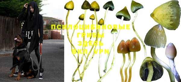 тгк Покачи