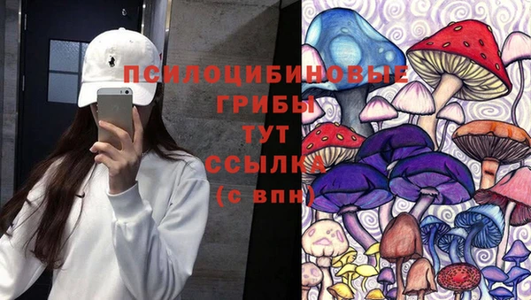 спайс Арсеньев
