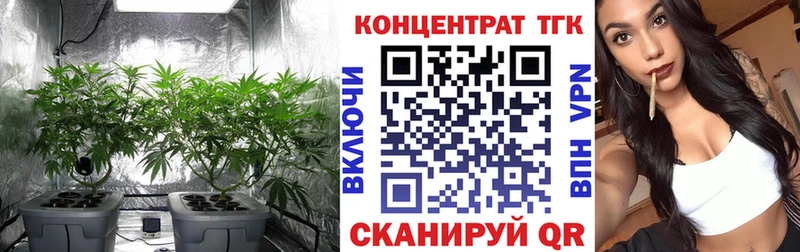 ТГК гашишное масло  kraken зеркало  Лесозаводск  как найти  